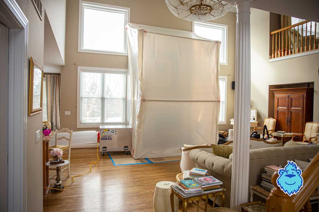 Mold Remediation & testing in Cincinnati