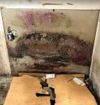 Mold-remediation-mitigation-yeti-restoration