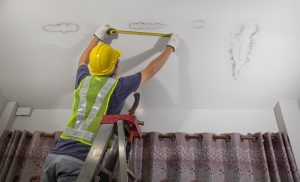 Handle Attic Mold Remediation